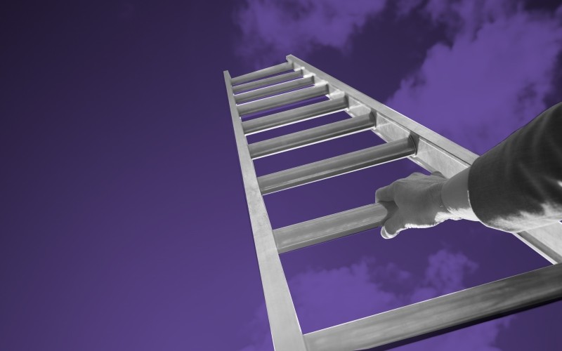 ladder