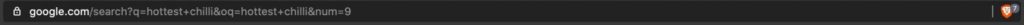 Google URL with additional parameters