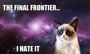 cat meme final frontier