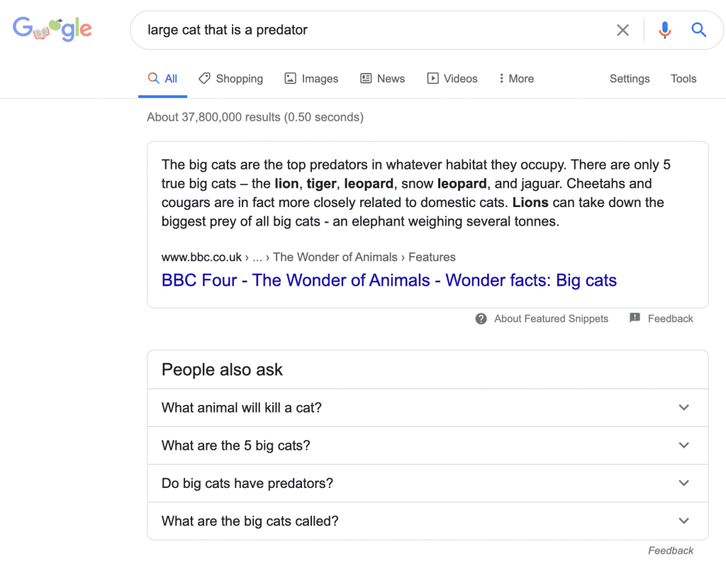 Semantic search, serp example