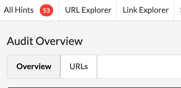audit overview