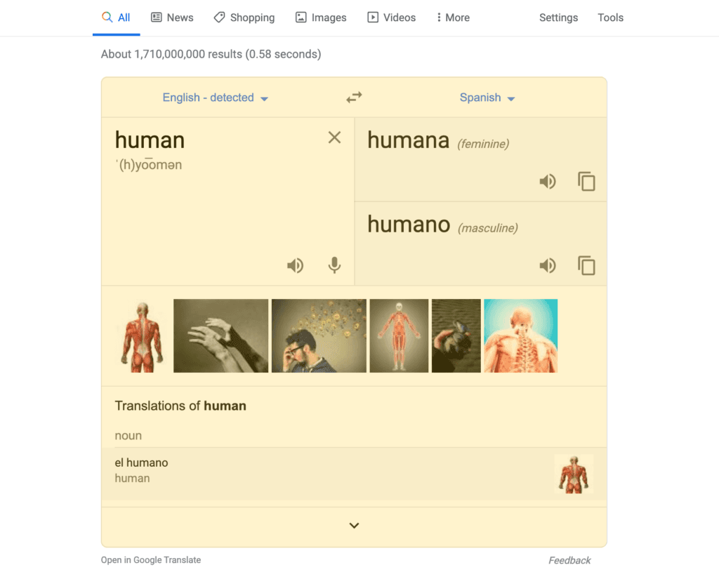 Translation Box search result on a desktop device